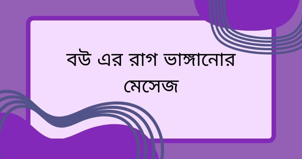 বউ এর রাগ ভাঙ্গানোর মেসেজ