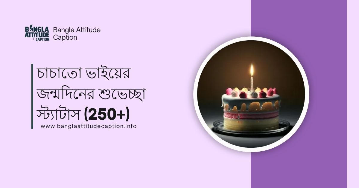 চাচাতো ভাইয়ের জন্মদিনের শুভেচ্ছা