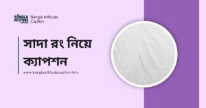 সাদা রং নিয়ে ক্যাপশন