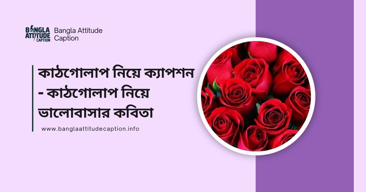 কাঠগোলাপ নিয়ে কবিতা