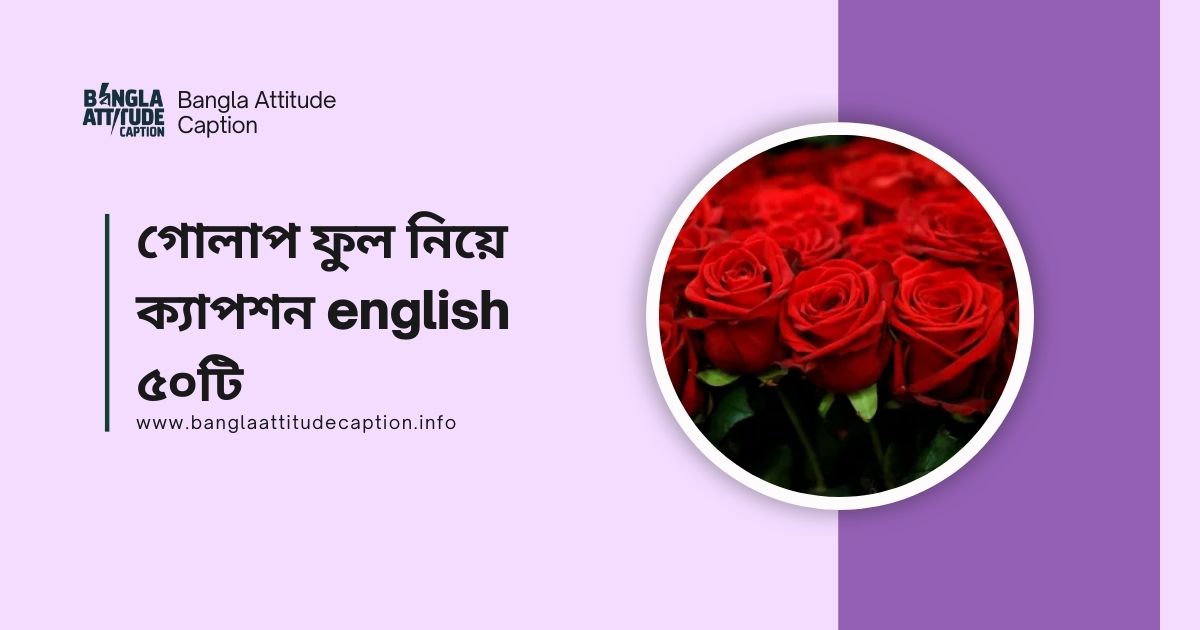 গোলাপ ফুল নিয়ে ক্যাপশন english ৫০টি