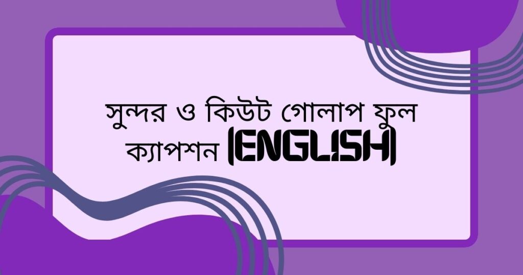 গোলাপ ফুল নিয়ে ক্যাপশন english ৫০টি