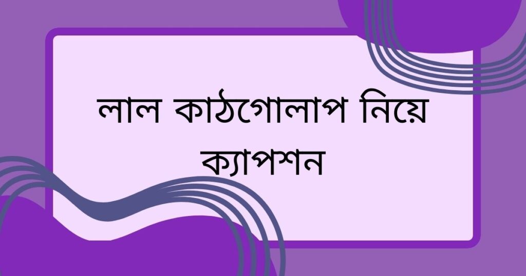কাঠগোলাপ নিয়ে কবিতা